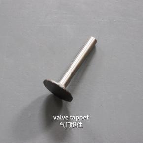 valve tappet